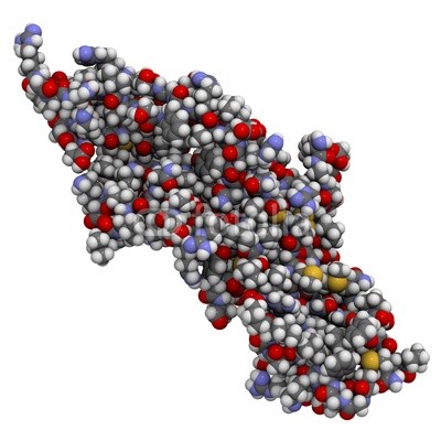 The HCG Molecule